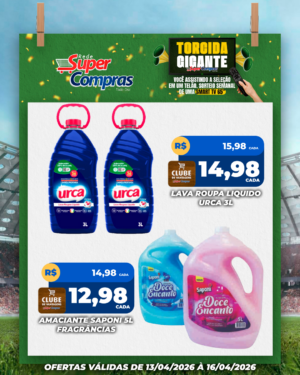 Festivao de verão - feed - 9