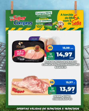 Festivao de verão - feed - 9