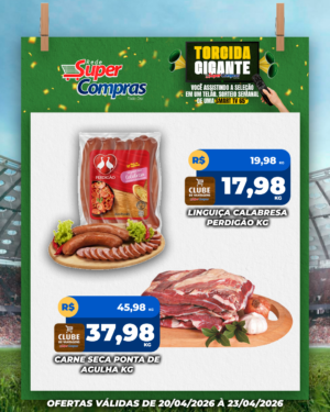 Festivao de verão - feed - 9