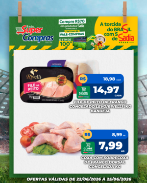 Festivao de verão - feed - 9