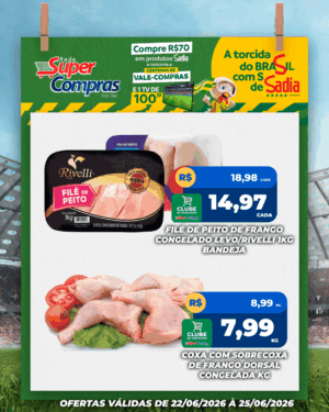 Festivao de verão - feed - 9