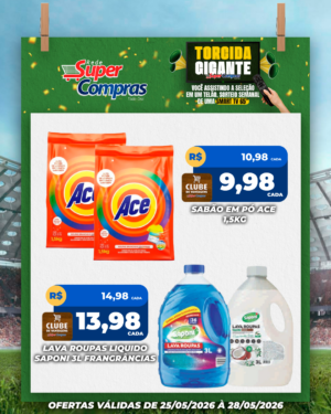 Festivao de verão - feed - 9