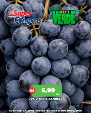 Quarta Verde - Feed - 14