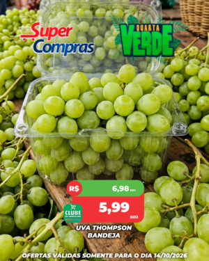 Quarta Verde - Feed - 4