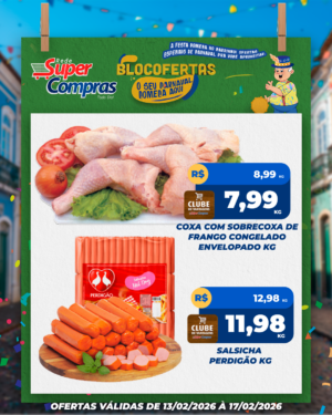 carnaval - feed - 11