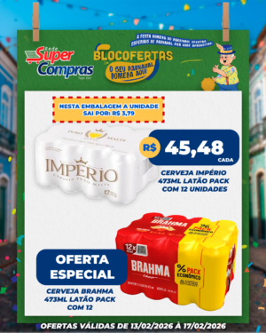 carnaval - feed - 17