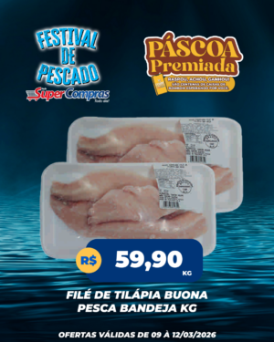 festival do pescado - feed 3