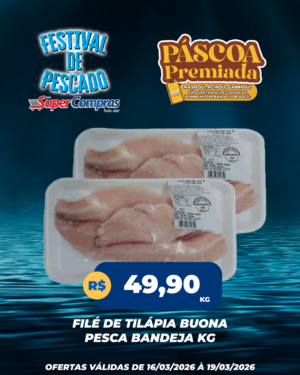 festival do pescado - feed 3