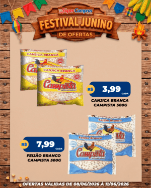 festival junino - feed - 1
