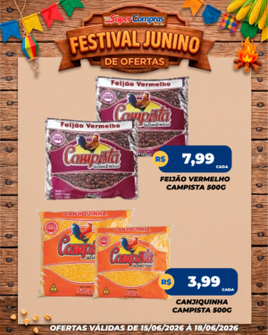 festival junino - feed - 2
