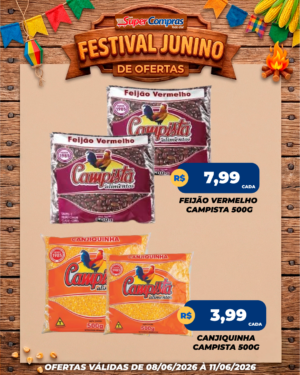 festival junino - feed - 2