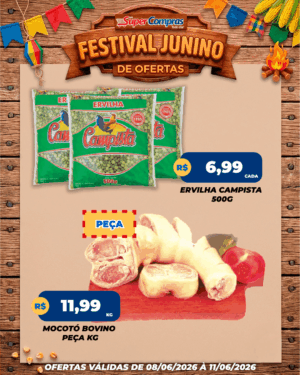 festival junino - feed - 3