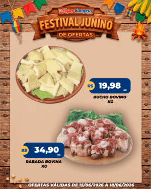 festival junino - feed - 4
