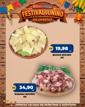 festival junino - feed - 4