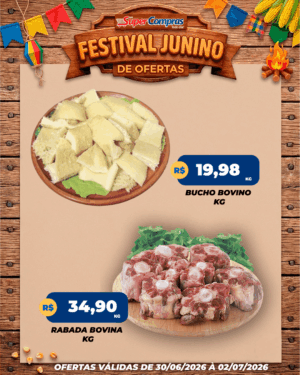 festival junino - feed - 4