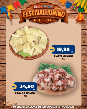 festival junino - feed - 4